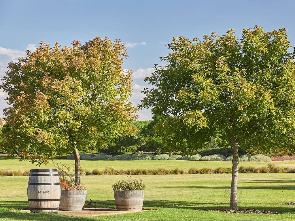 Personalized Wine Tastings