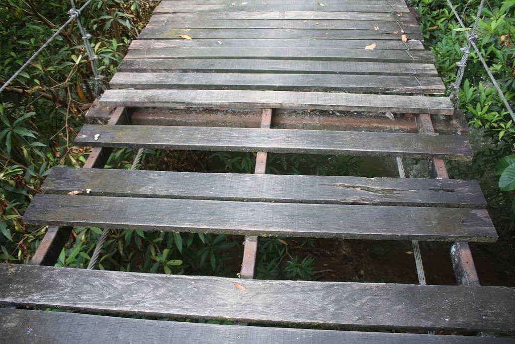 Upper Waterfall Views