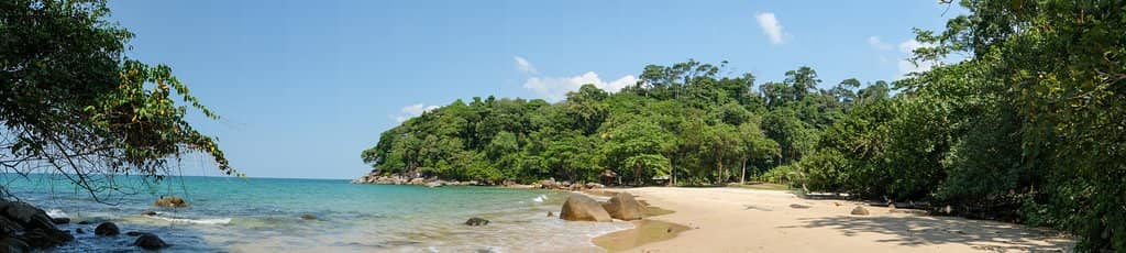 Small Sandy Beach