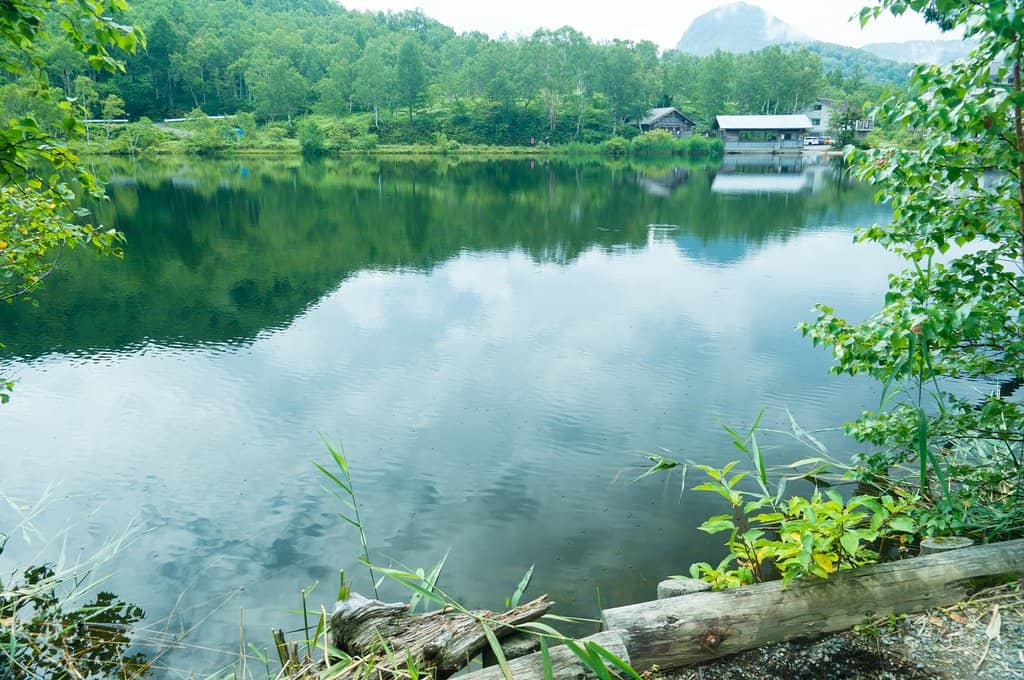 Hiking Trail to Tanohata Marsh