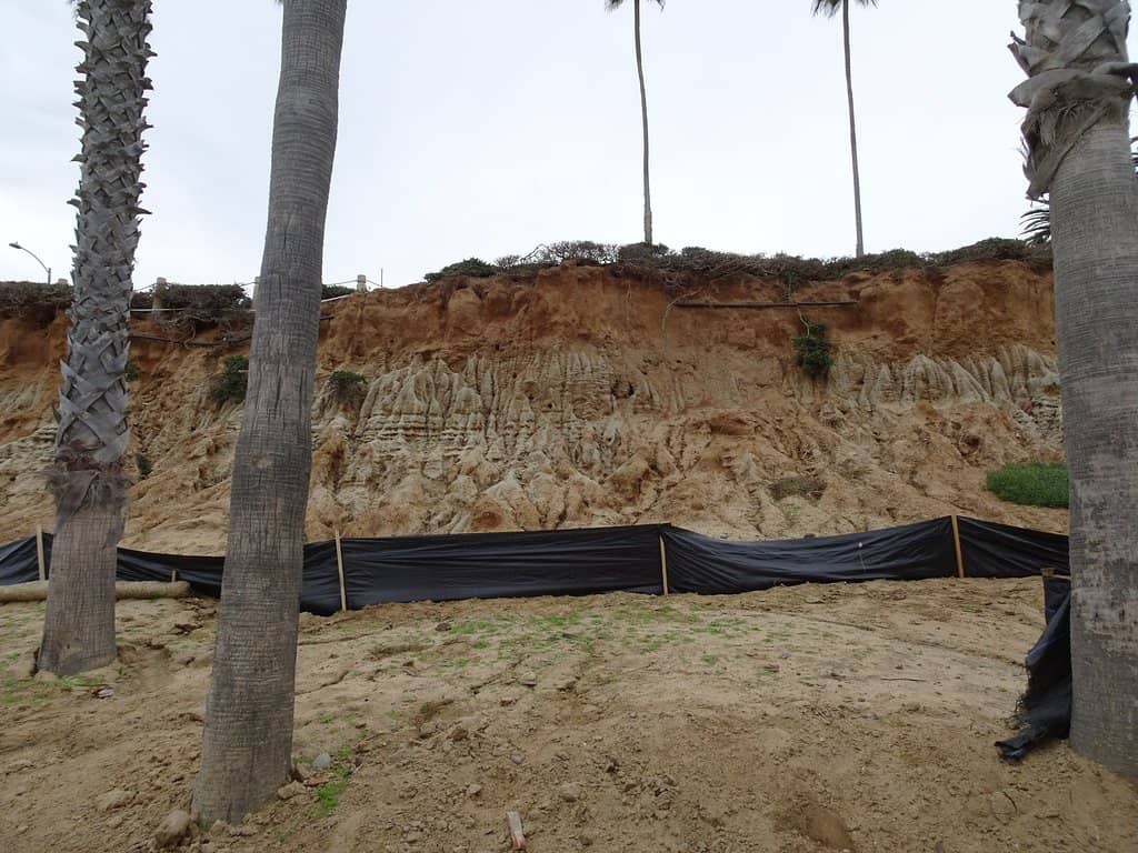 Oceanside Pier Views