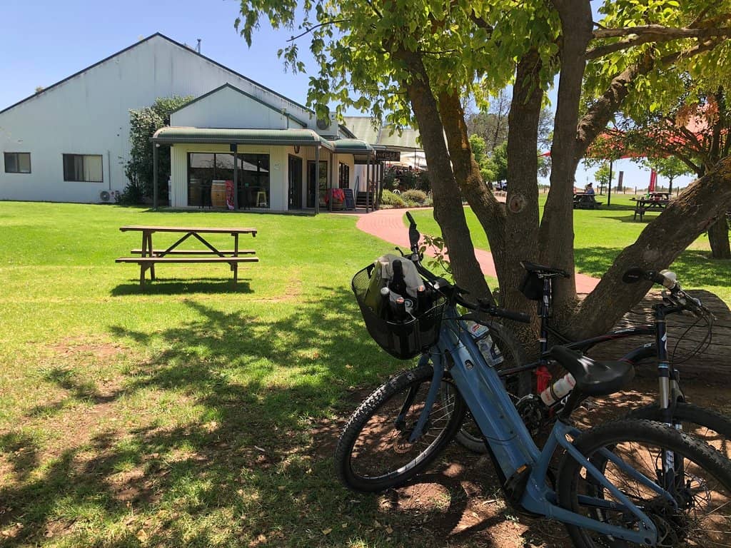 Dog-Friendly Atmosphere