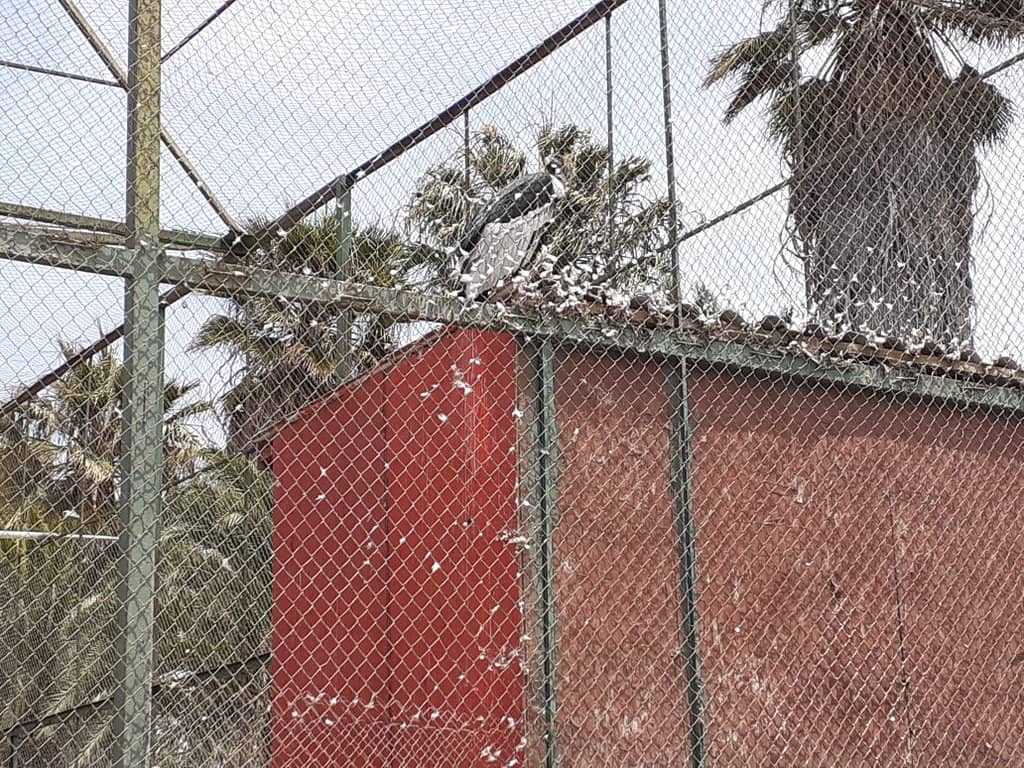 Children's Playgrounds