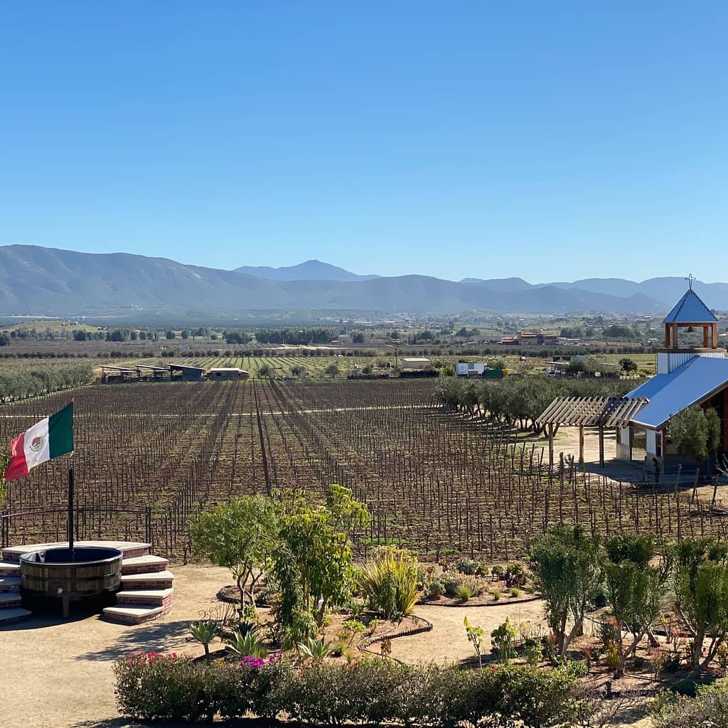 Farm-to-Table Delights