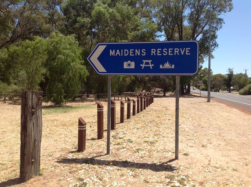 Wildlife Spotting Opportunities