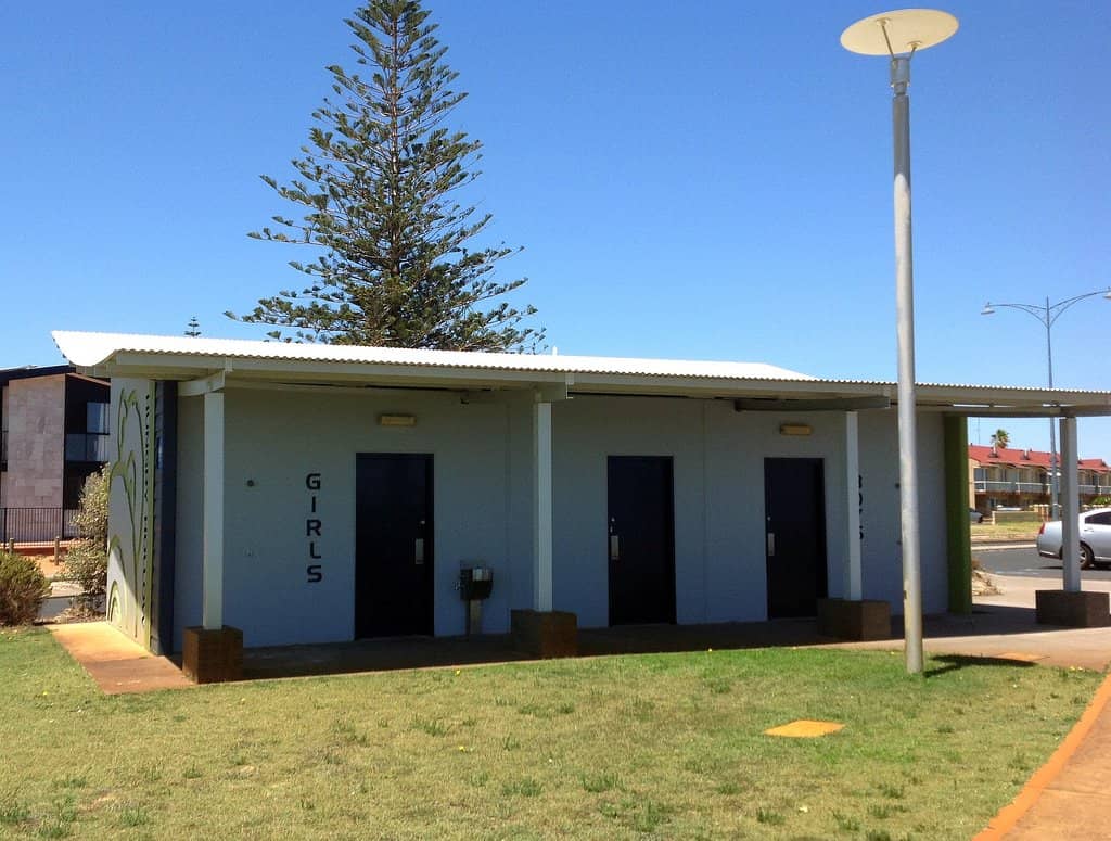 Marine Life Encounters