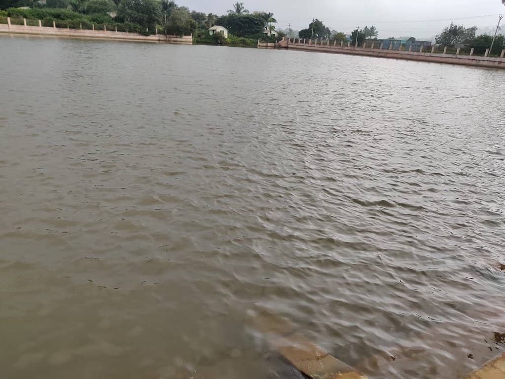 Local Produce Stalls