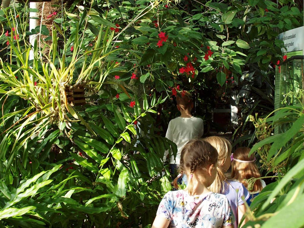Tropical Greenhouse