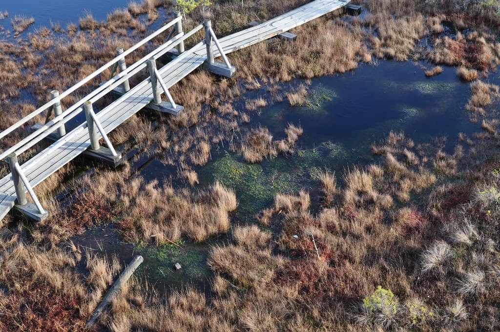 Great Kemeri Bog Boardwalk