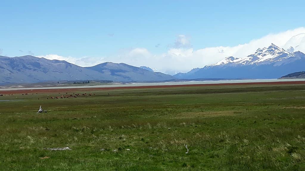 Patagonian Desert Drive