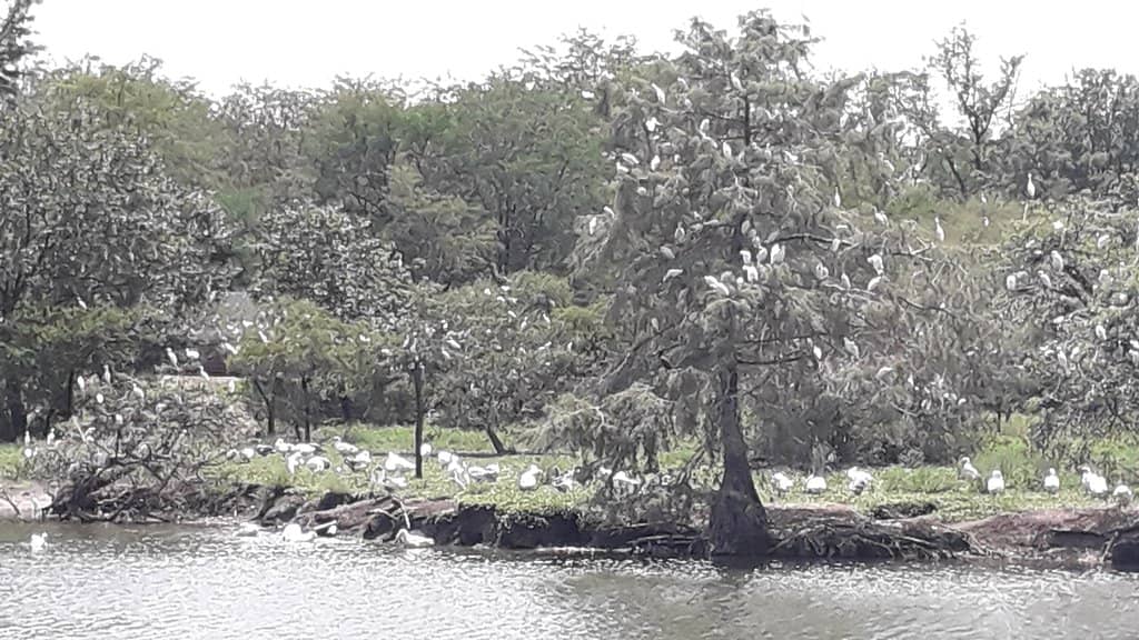 Recreational Facilities