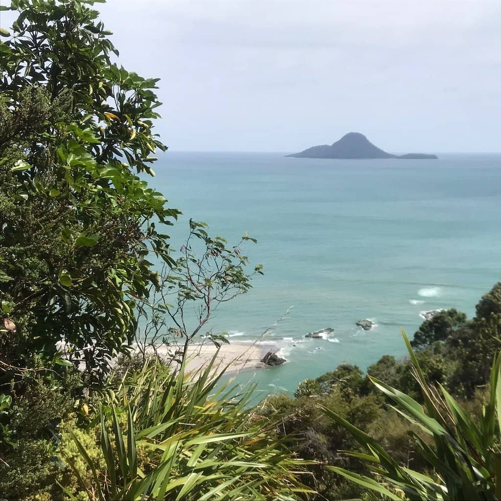 Coastal Vistas