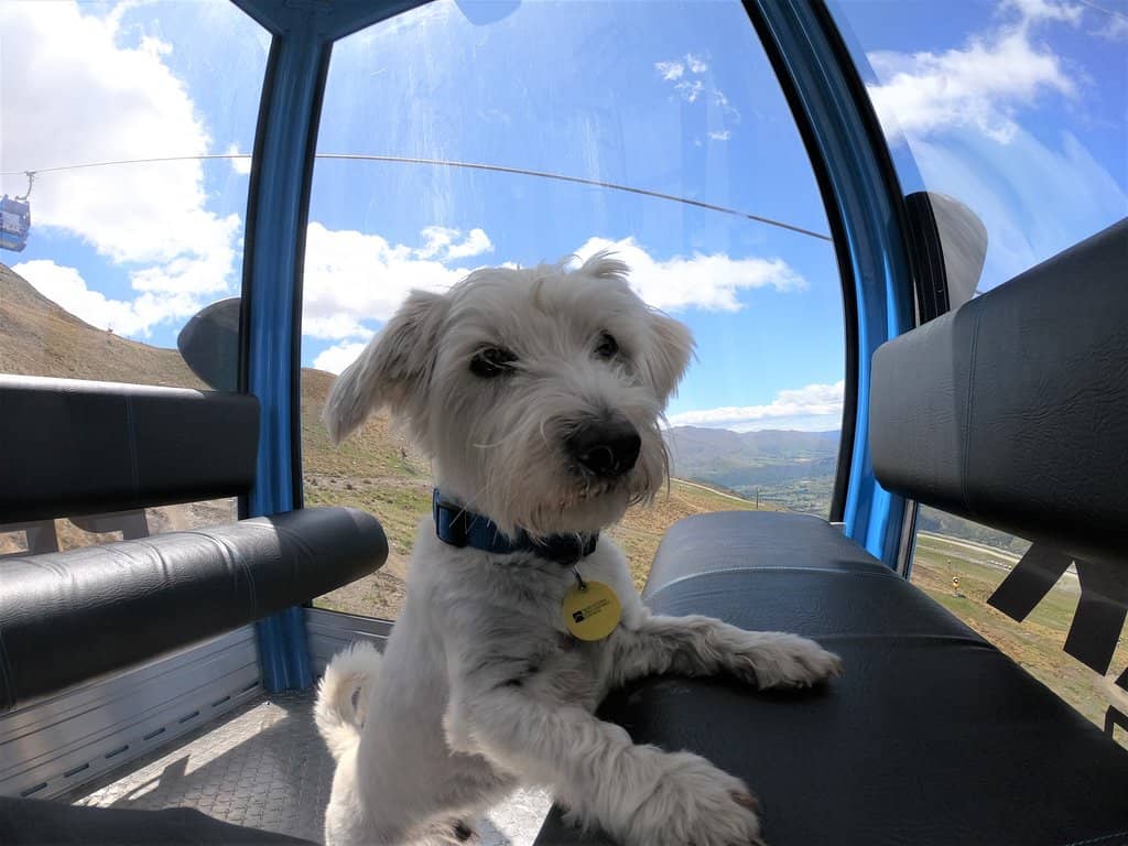 First Tracks Experience