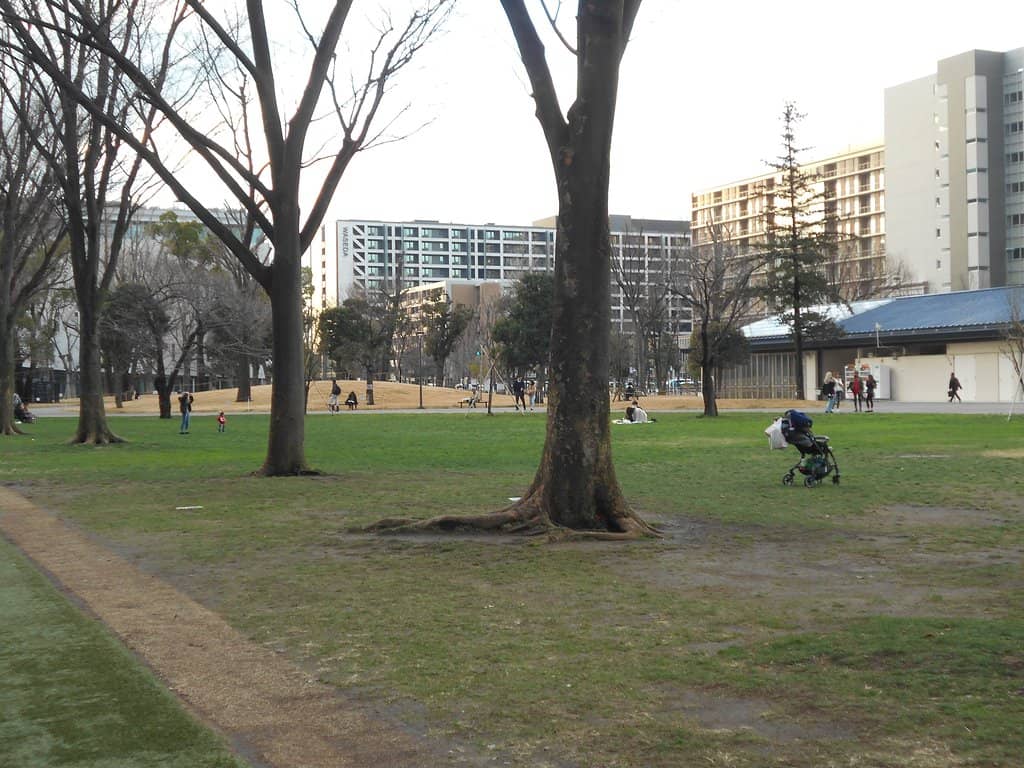 Vertical photo