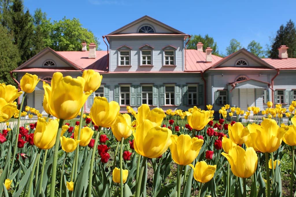 The Manor House