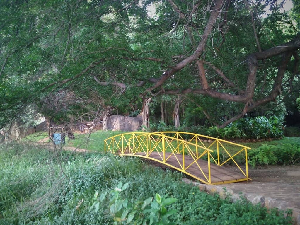 Scenic Walking Path