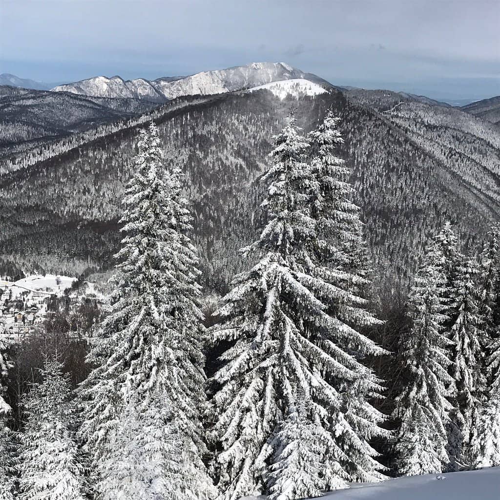 Beginner-Friendly Learning