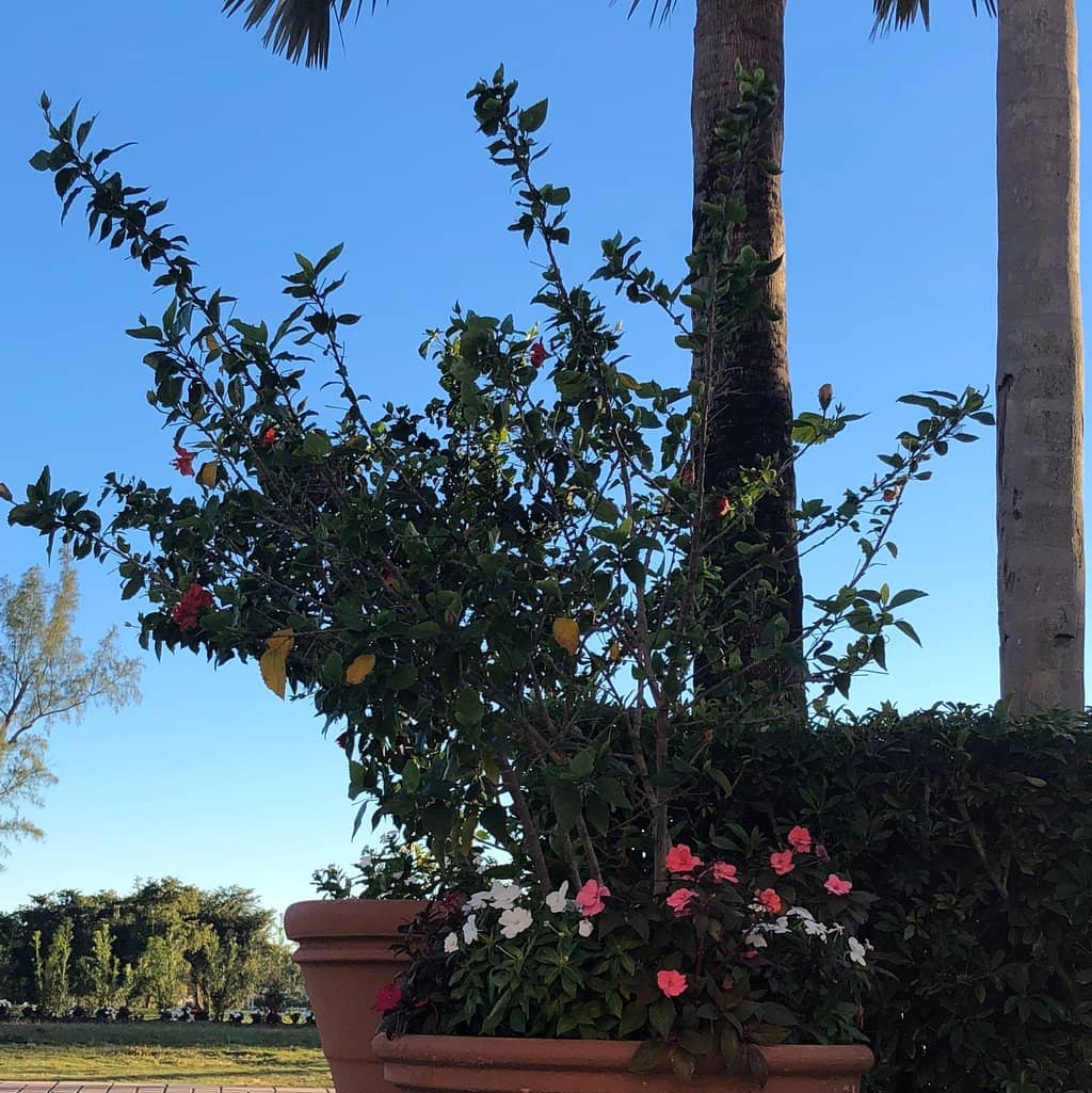 First-Rate Facilities