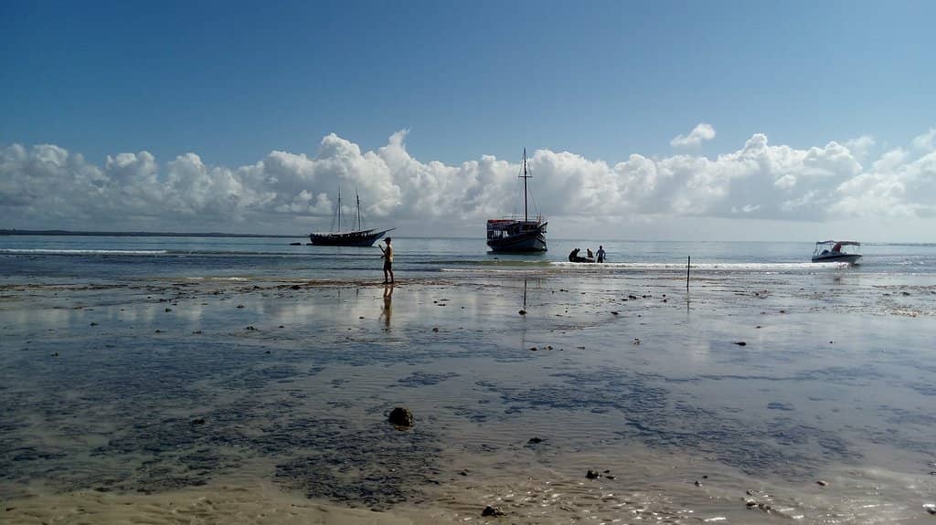 World-Class Coral Reef