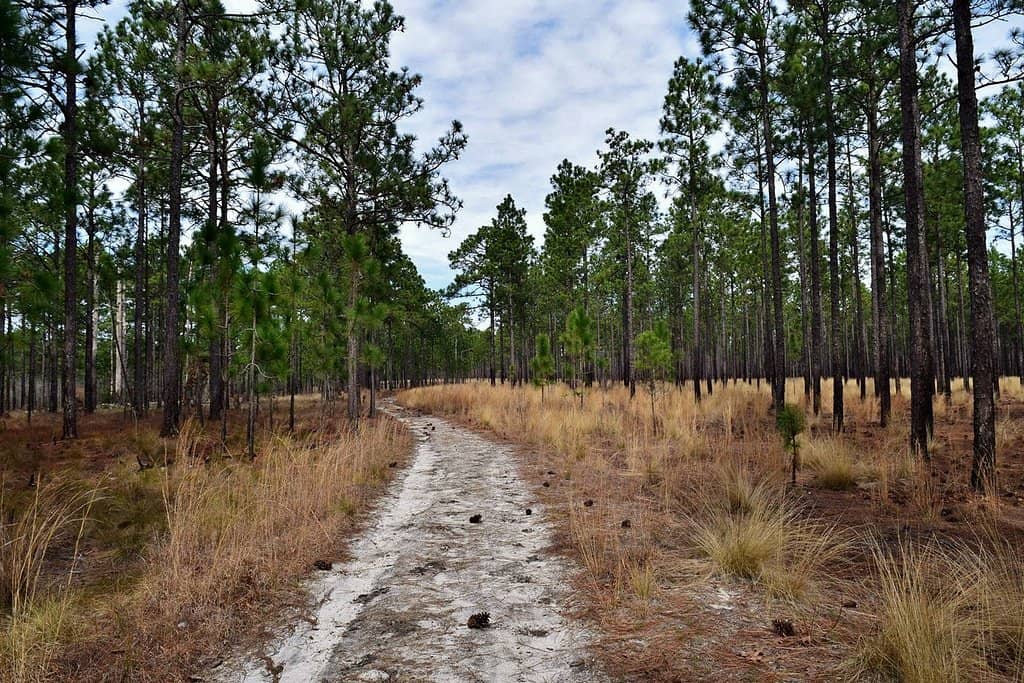 Hiking Trails