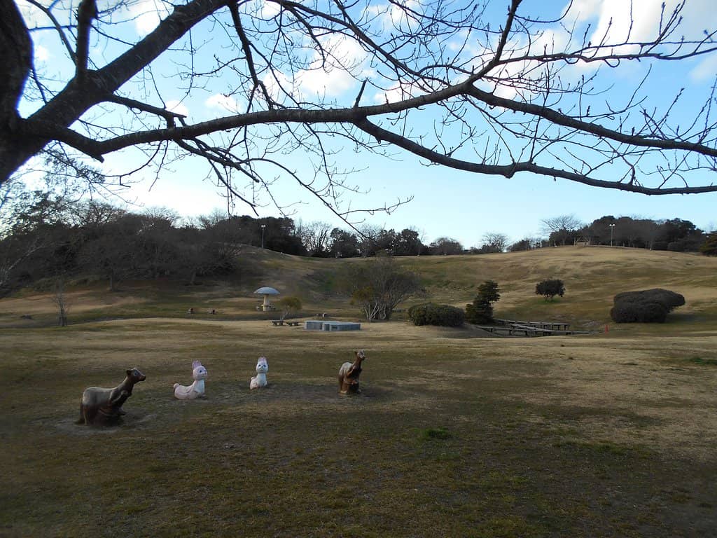 Green Spaces & Picnic Spots