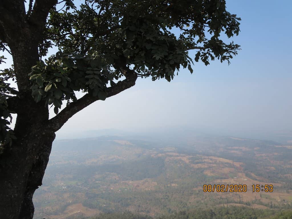 Panoramic Hill Station Views