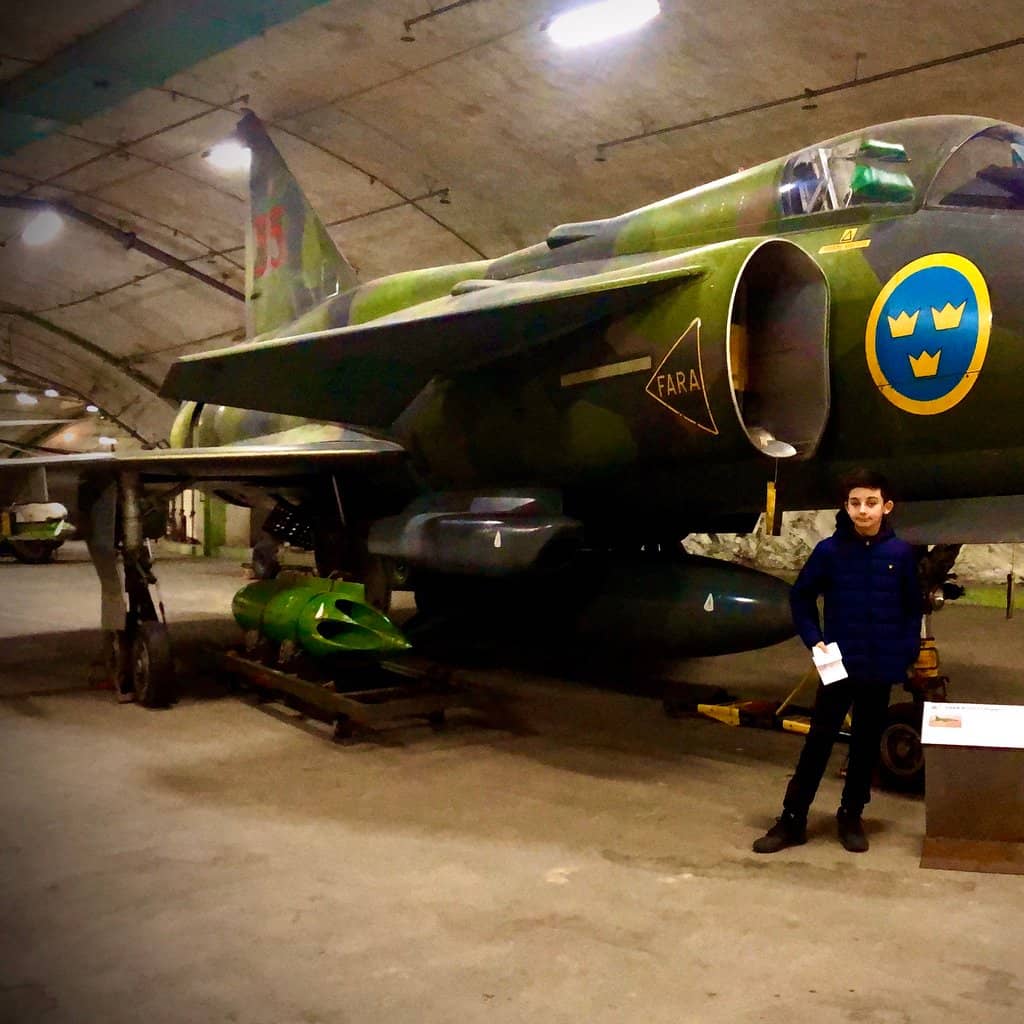 Interactive Flight Simulators