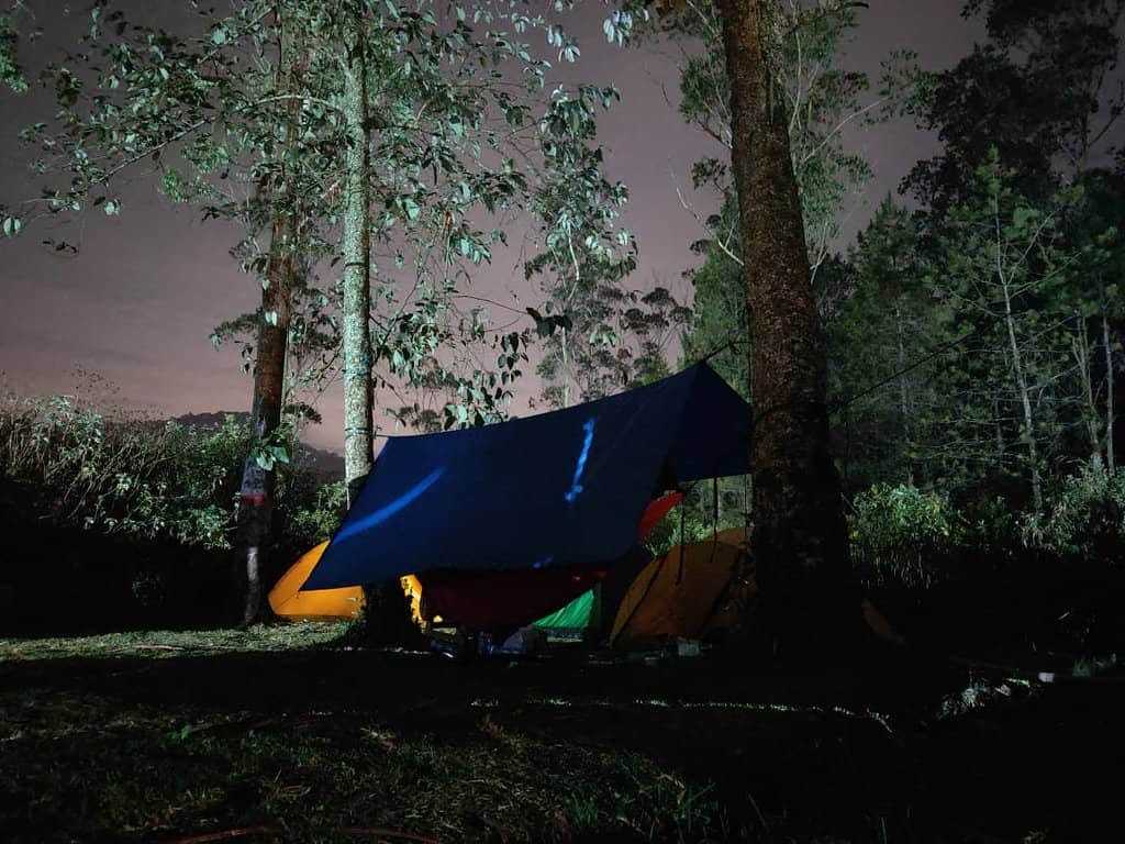 Forest Cabin Retreats