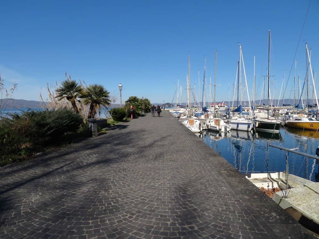 Harbor Manager Simon