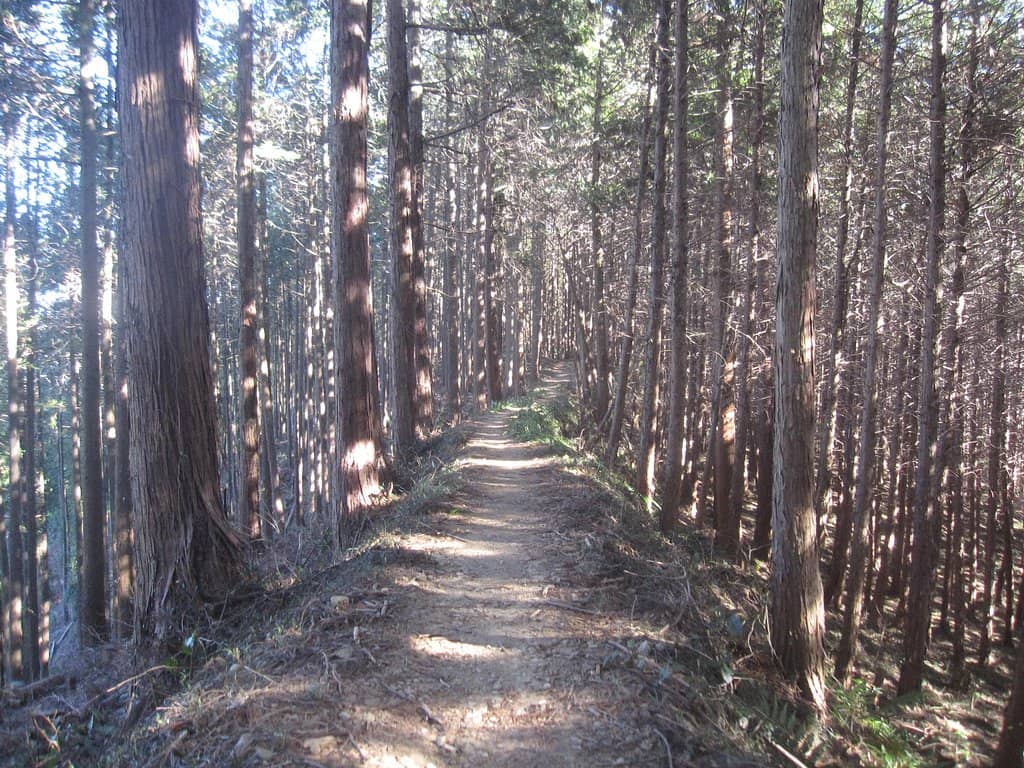 Diverse Hiking Trails