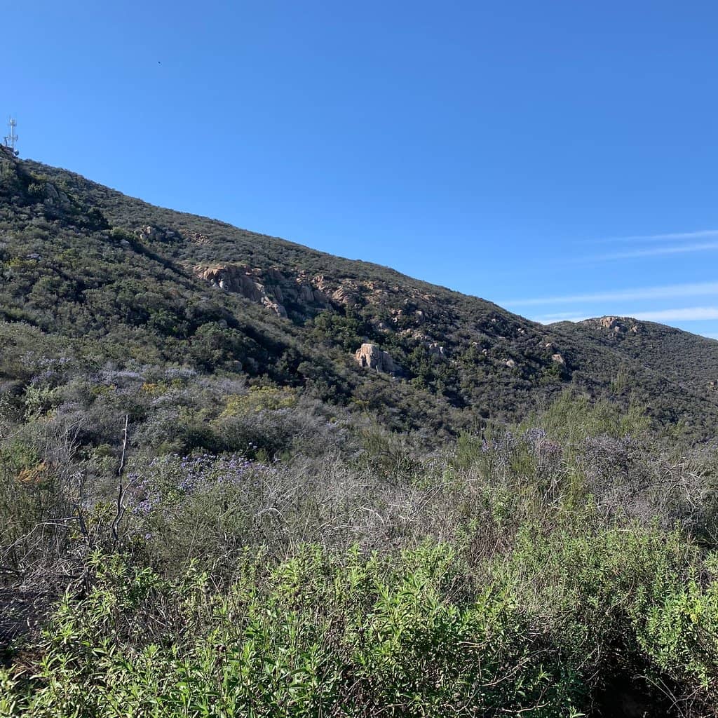 Third hero image