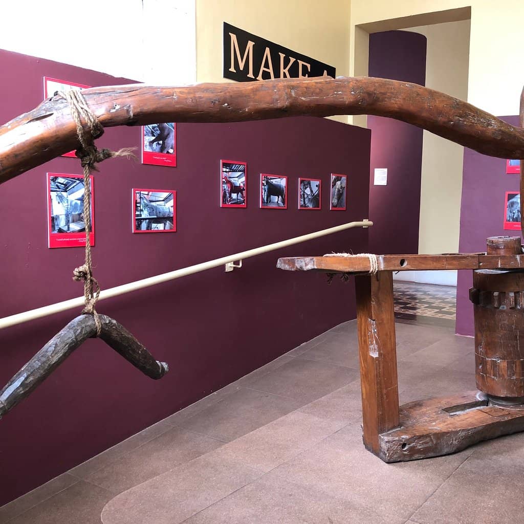 Vintage Regional Toys