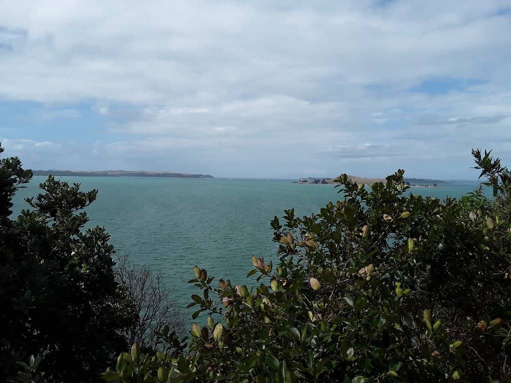 Sunrise and Sunset Spectacles