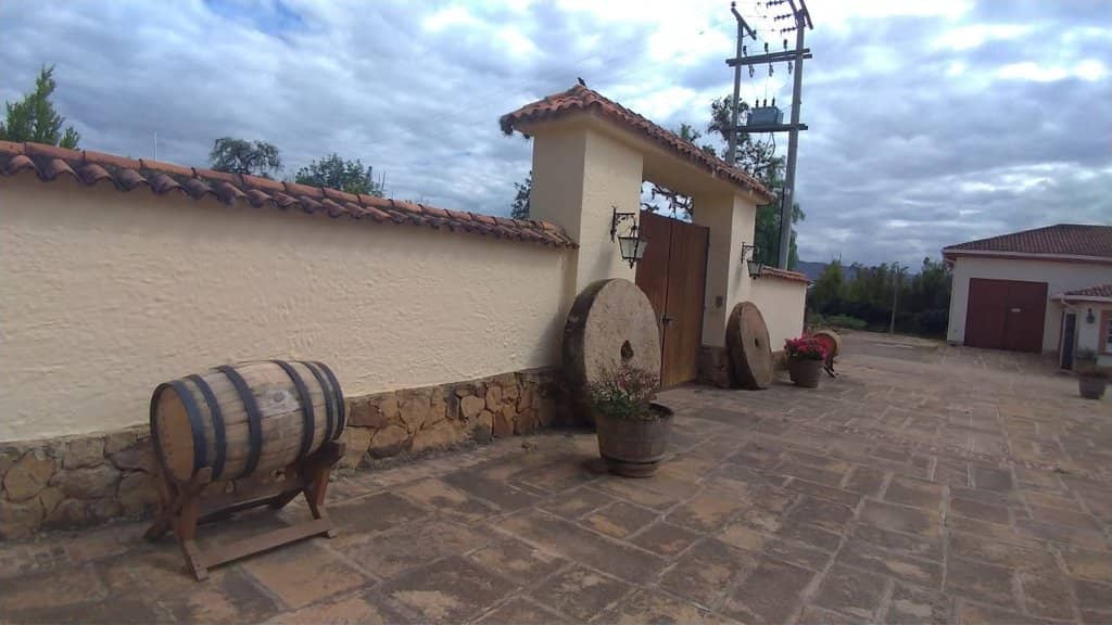 Scenic Vineyard Views