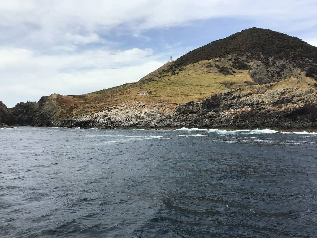 Subtropical Snorkeling
