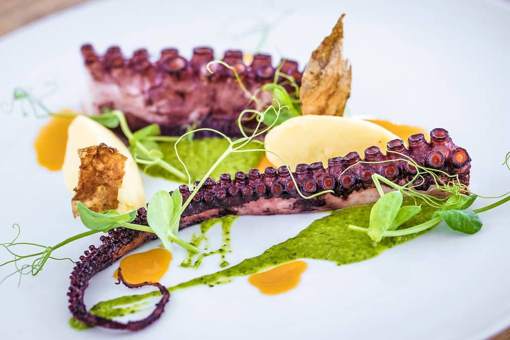 Elegant Atmosphere & Wine Heritage