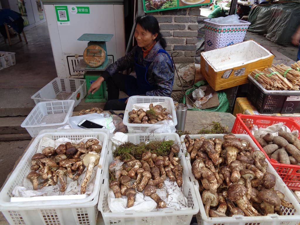 Authentic Local Experience