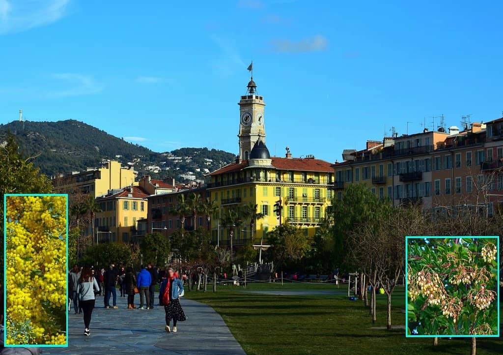 Children's Play Area