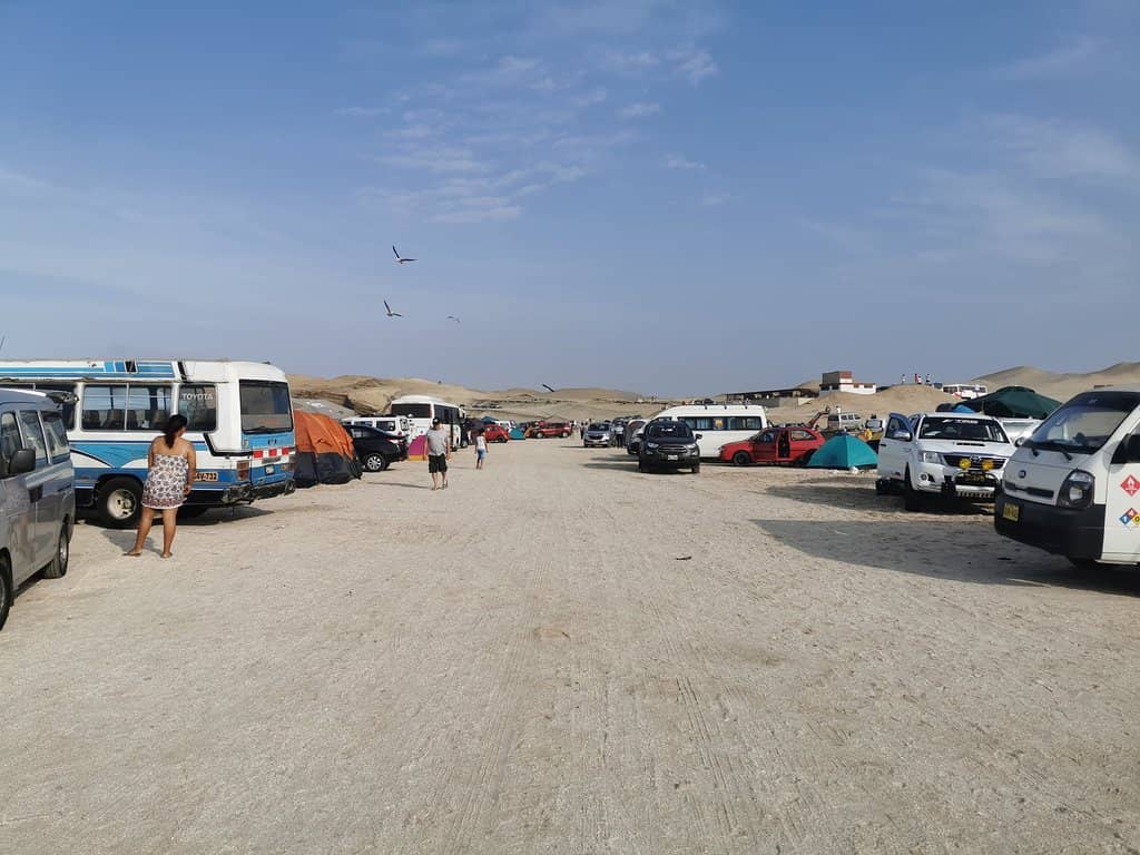 Calm and Wide Shores