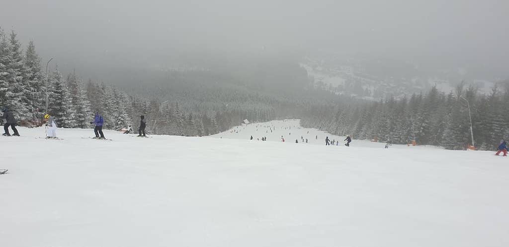 Mountain Air & Views