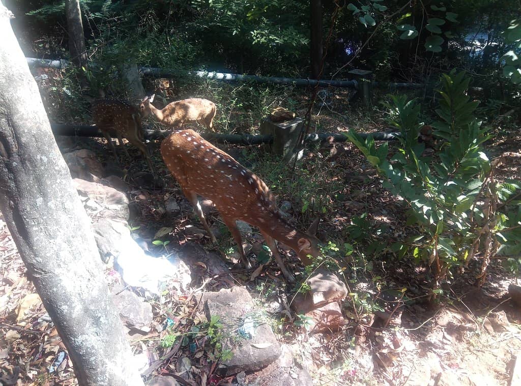 Convenient Amenities Along the Way