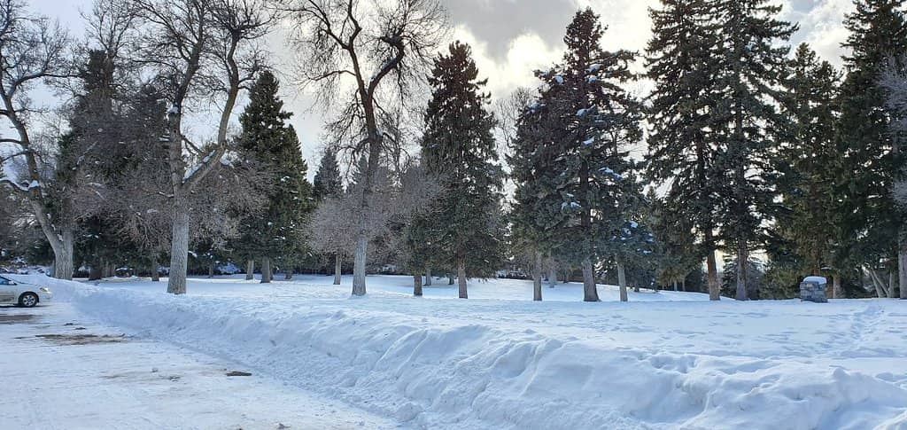 New Playground & Exercise Area