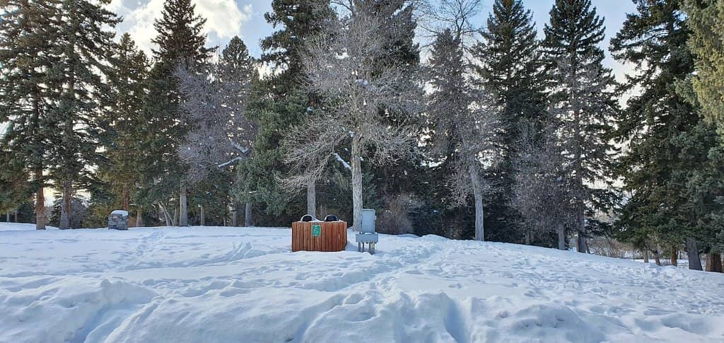 Carved Totem Sculpture