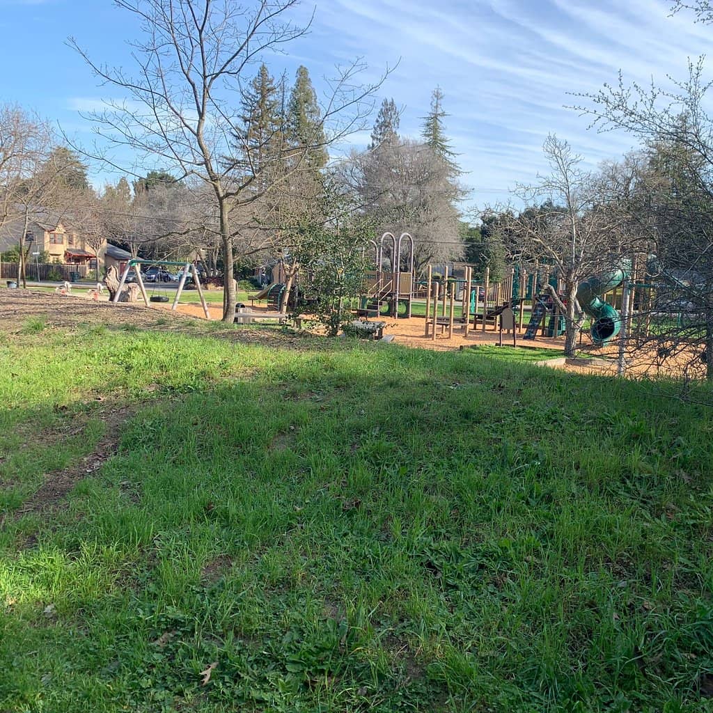 Native Plant Garden