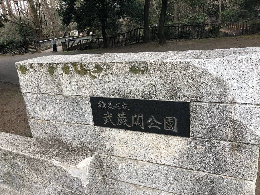 Sakura in Season