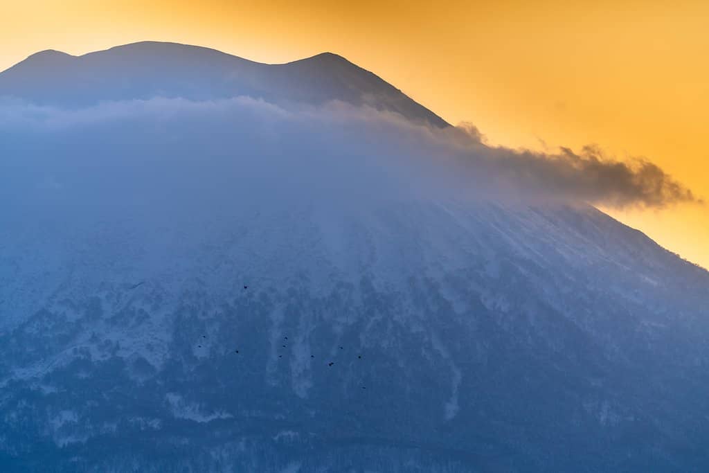 Panoramic City Views