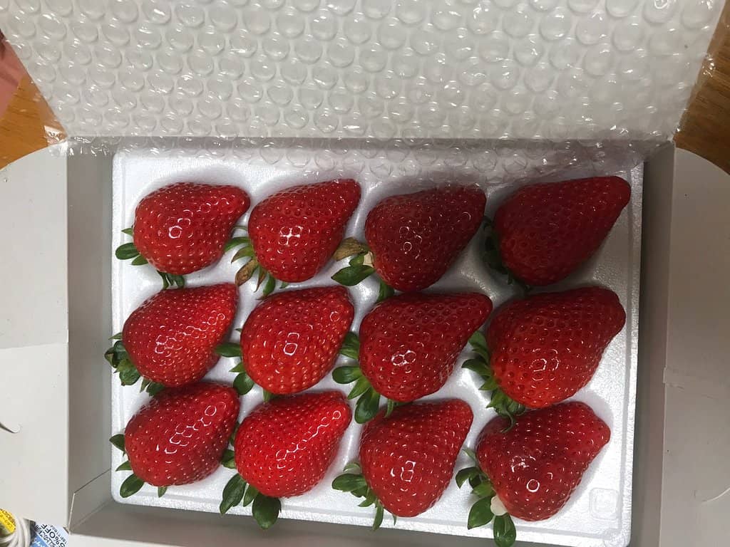 Factory Tour Experience