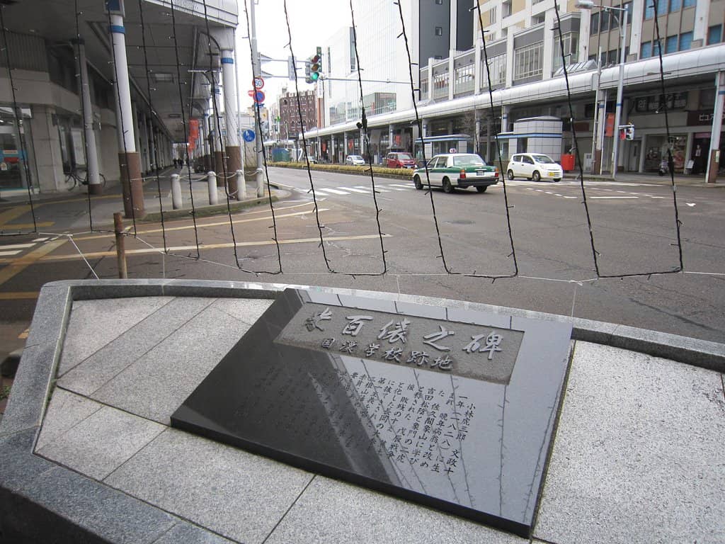 Vertical photo