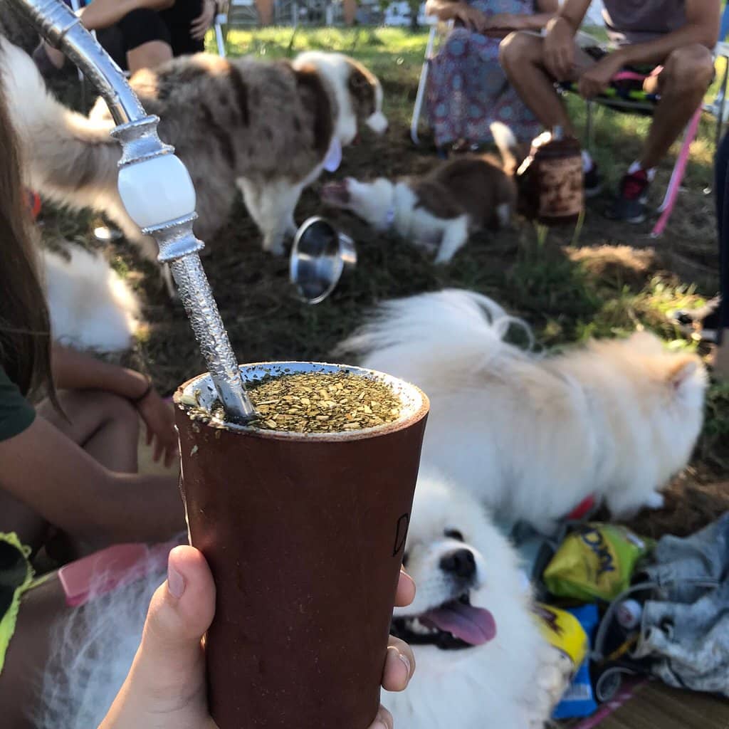 Gastronomic Festivals