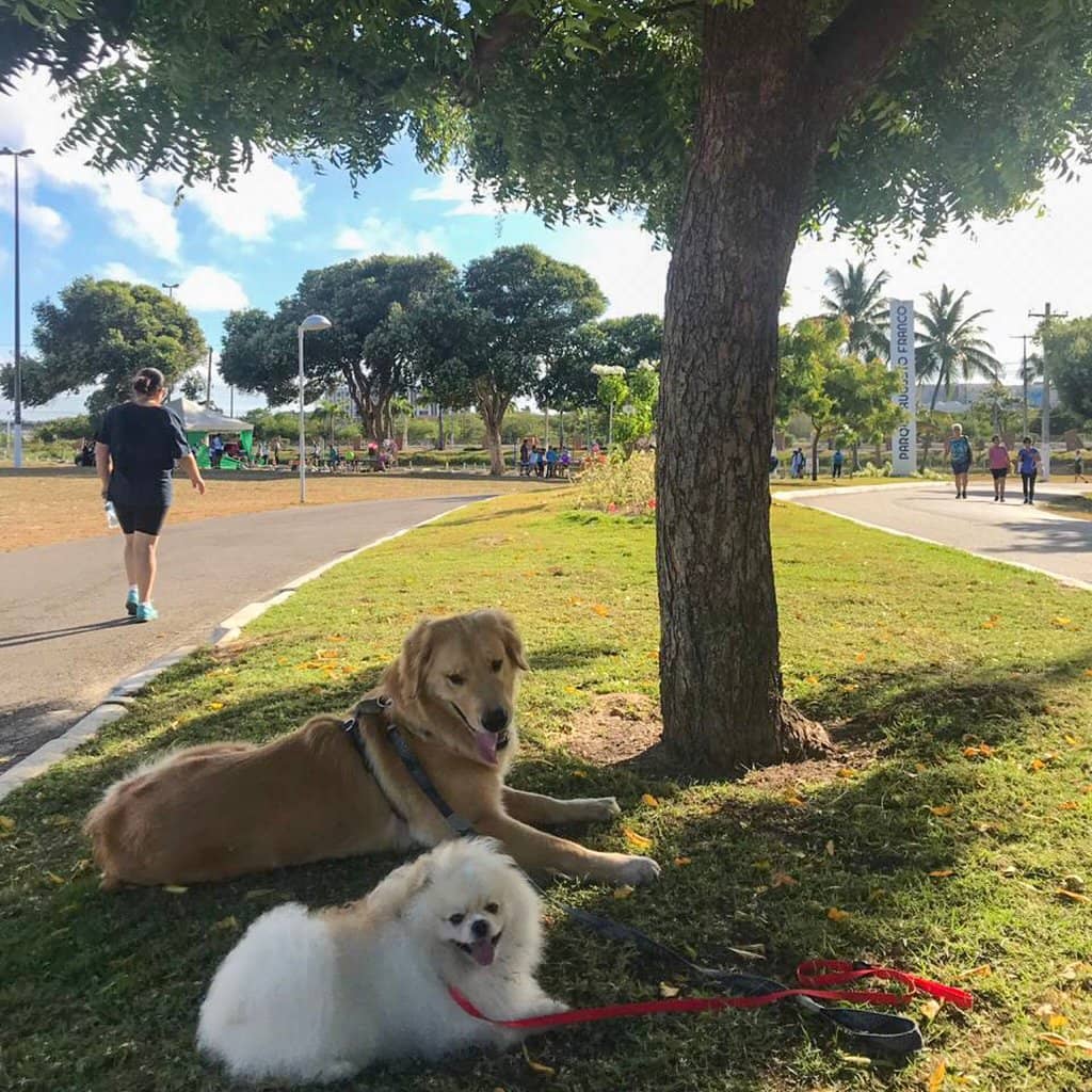 Recreational Activities